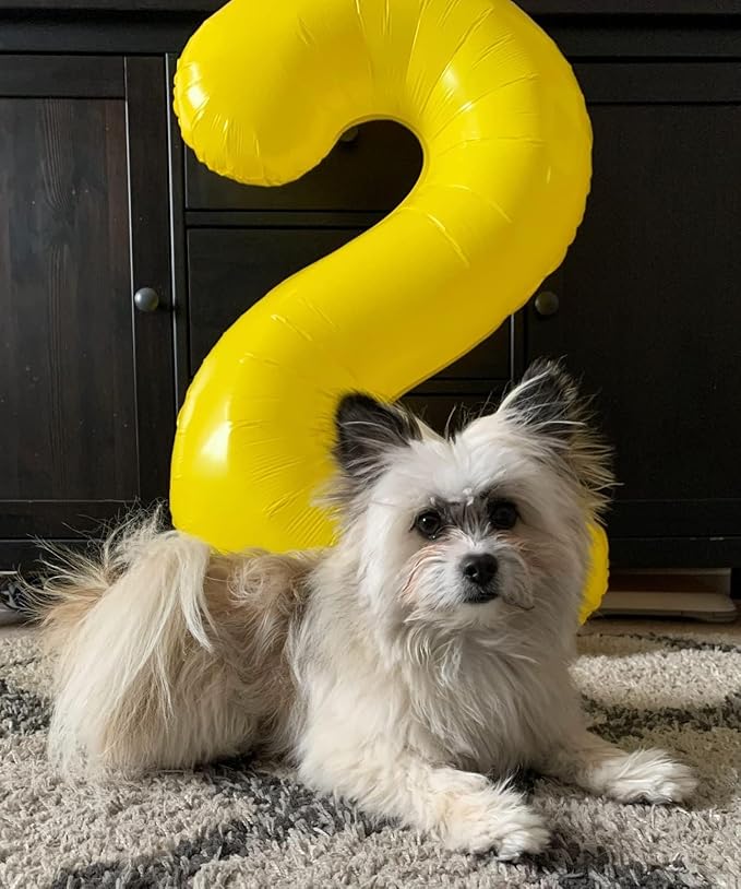 Balloon Numbers 40 Inch 5 Ballon for 5th Birthday Decorations, 15 25 35 50 Big Yellow Number Balloons for Wedding Photo Shoot Party Decor