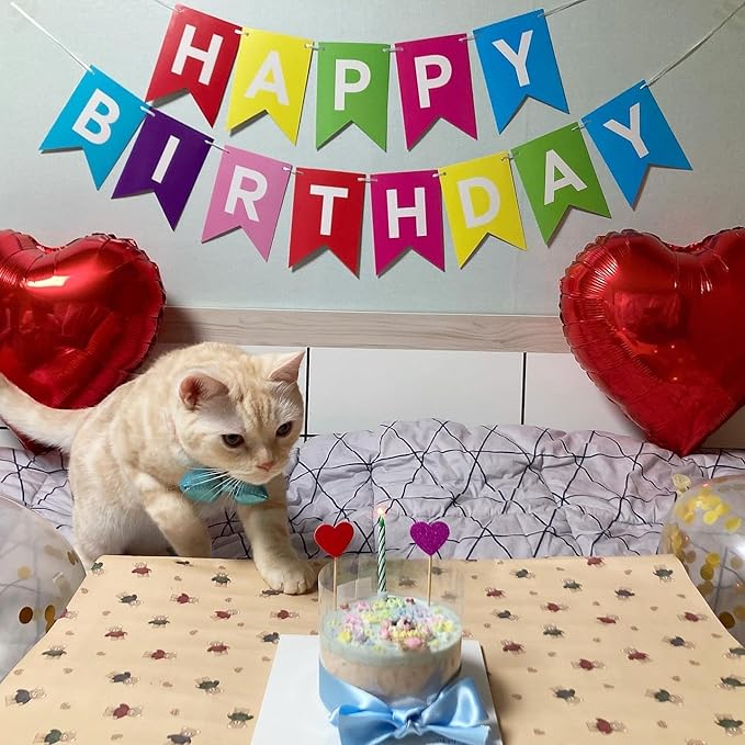 Rainbow Happy Birthday Banner Colorful Sign Party Decorations for Women Men Girls Boys