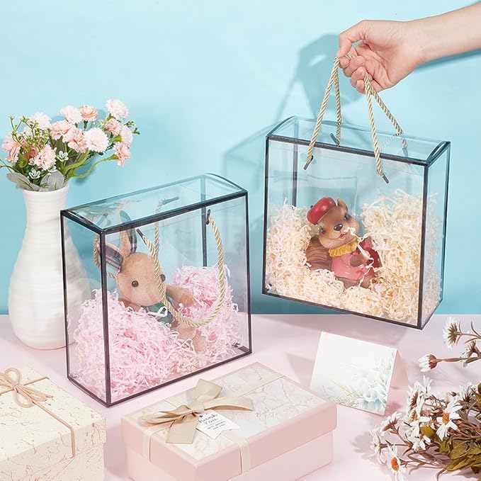 BENECREAT 10 Packs Clear PET Plastic Gift Box, 7.8x7.8x3.5 Inch Treat Gift Boxes with Black Border and Handle, Favor Box with Cord for Mother's Day, Birthday Party, Wedding Favours