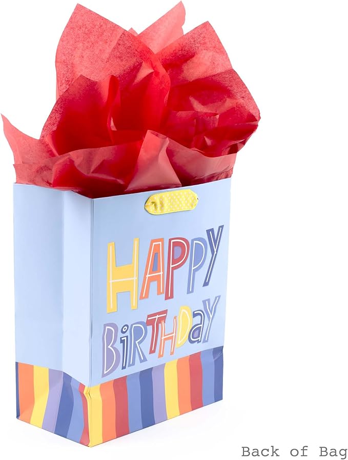 Hallmark 9" Medium Gift Bag with Tissue Paper (Happy Birthday, Rainbow Stripes on Light Blue)