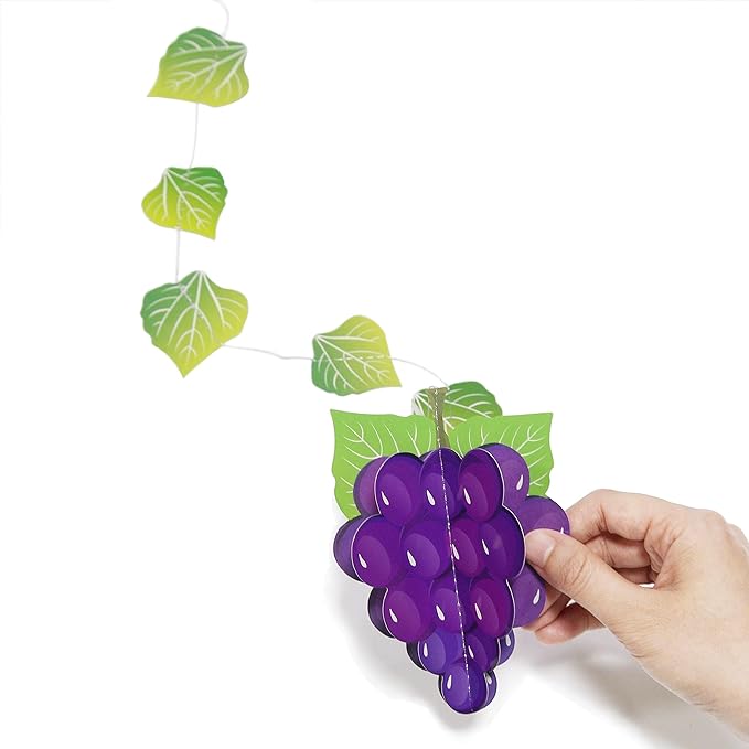 Cheerland Fruit Decor Hanging Fruit Themed Party Decorations Tropical Banner Garland for Luau Party Decoration Hawaiian Theme Birthday Decoration Twotti Fruity Baby Shower Decoration Pack of 12