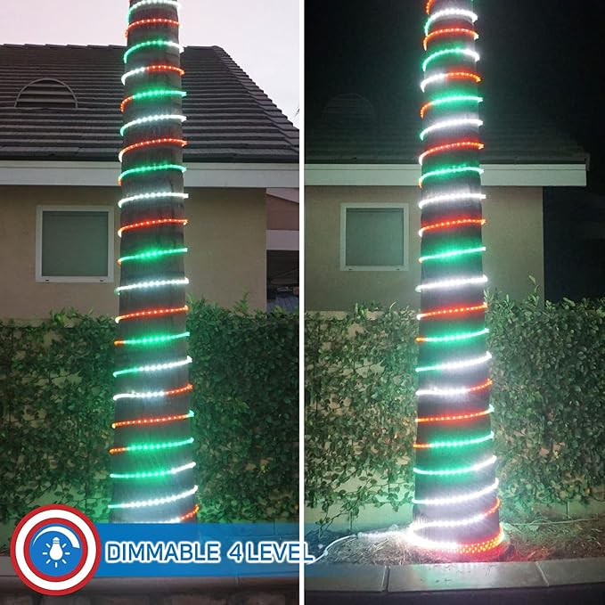Russell Decor 80ft Red White Green LED Rope Lights with Patriotic Lights with 4-Level Dimmable Controller Outdoor Decorative Lighting for California Mexico Italy Theme Colors Decor