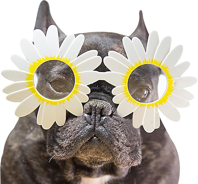 musykrafties Photo Booth Props Sunglasses Set