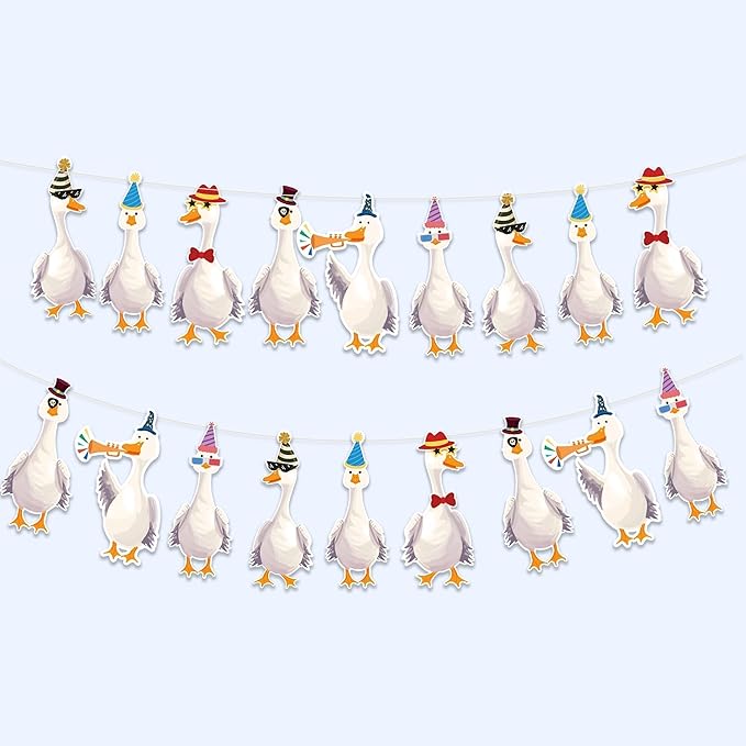 Cheerland Silly Goose Party Decorations Garland Birthday Banner Garden Tea Party Hanging Funny Goose Go Duck Decoration Supplies Farm Themed Cute Boys Girls Baby Shower Decor for Spring Garden Parties