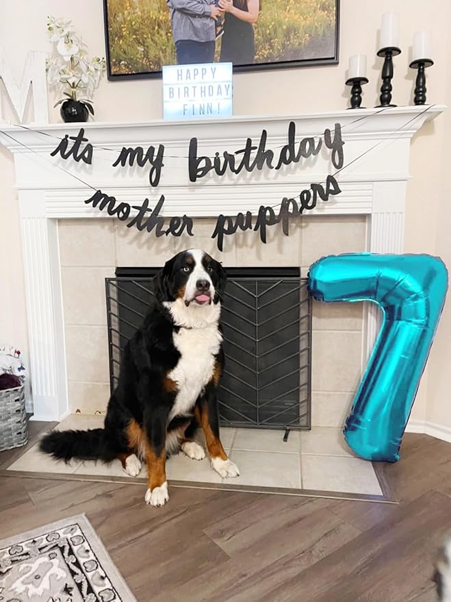 Numbers Balloon 3, 40 Inch Large Light Blue Balloon for Three Year Old Birthday Decor, 3 13 30 31 Birthday Party Decorations for Wedding Supplies