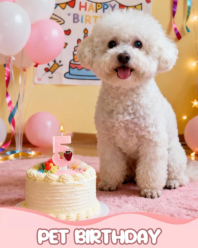 Birthday Candles for Cake, Pink Number Candles, Cake Candles with Greeting Card for Birthday Party Wedding Anniversary Celebrations (Strawberry 5 Candle)