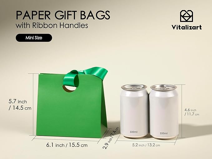 Vitalizart Paper Gift Bags With Ribbon Handles Set of 10 Assorted Colors Bulk Reusable For Gift Wrap Girls Kids Birthday Bridal Shower Party Favors Goodie Bags Candy Christmas 6.1"x2.95"x5.71" Mini