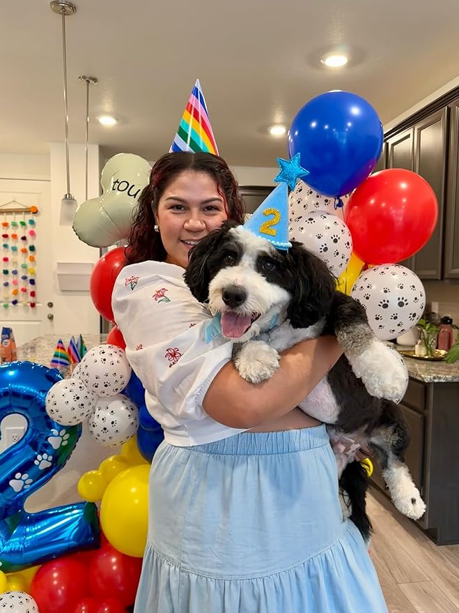 Dog Paw Latex Balloons, 50pcs 12 Inches Royal Blue Light Blue Yellow Red Paw Print Balloons with 1 Ribbon for Dog Birthday Party Decorations