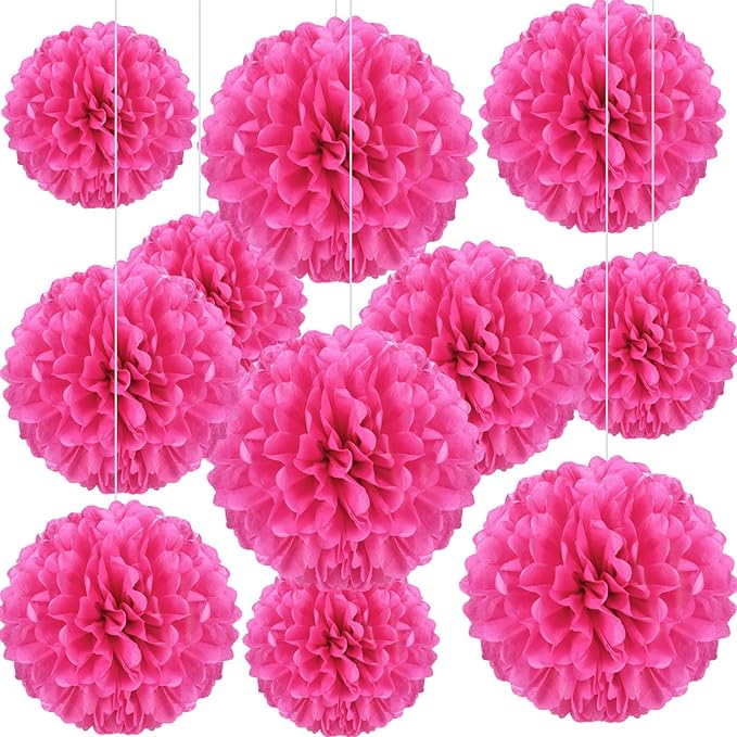 20 PCS Rose Red Tissue Paper Pom Poms Flowers, Sizes of 6", 10", 12", 14" Hanging Paper Flower Ball for Wedding, Birthday, Halloween, Christmas, Baby Shower Party Decor