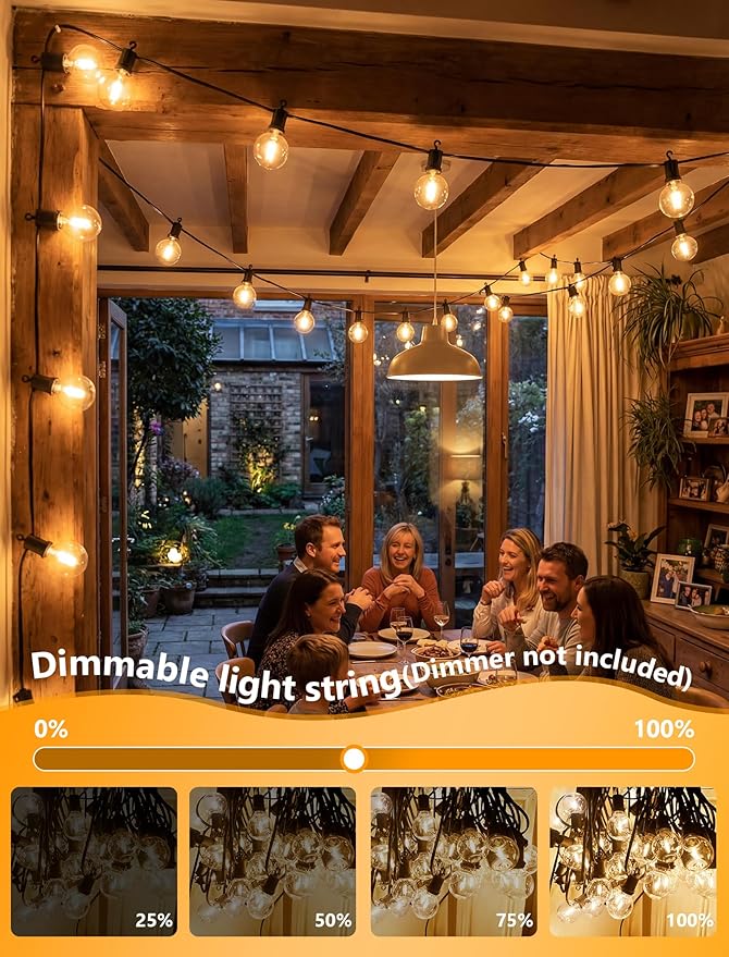 25Ft LED G40 Globe Outdoor String Lights Waterproof Patio Lights with 13 Warm White Bulbs, Hanging Light for Backyard Balcony Wedding Christmas Party Decorations Xmas Tree Black Wire