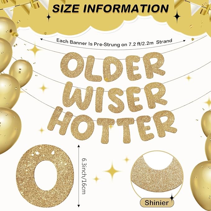 Fulmoon Set of 3 Pre Strung Older Wiser Hotter Glitter Banner Funny Birthday Banner for Women 30th 40th 50th 60th 70th 80th Birthday Party Decorations Sign Gift(Champaign Gold)