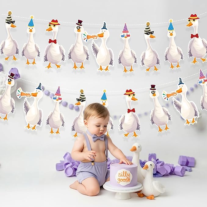 Cheerland Silly Goose Party Decorations Garland Birthday Banner Garden Tea Party Hanging Funny Goose Go Duck Decoration Supplies Farm Themed Cute Boys Girls Baby Shower Decor for Spring Garden Parties