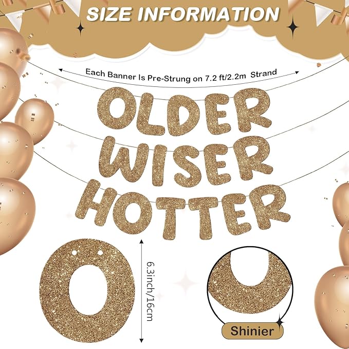 Fulmoon Set of 3 Pre Strung Older Wiser Hotter Glitter Banner Funny Birthday Banner for Women 30th 40th 50th 60th 70th 80th Birthday Party Decorations Sign Gift(Dark Champagne)