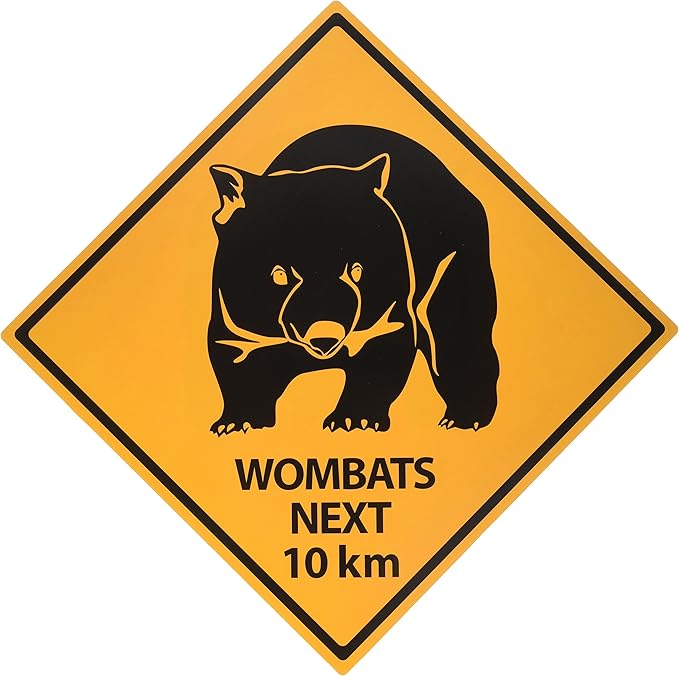 Beistle 54306 Outback Road Sign Cutouts-4 Pcs, 14'' 13'' .1'', Yellow/Black