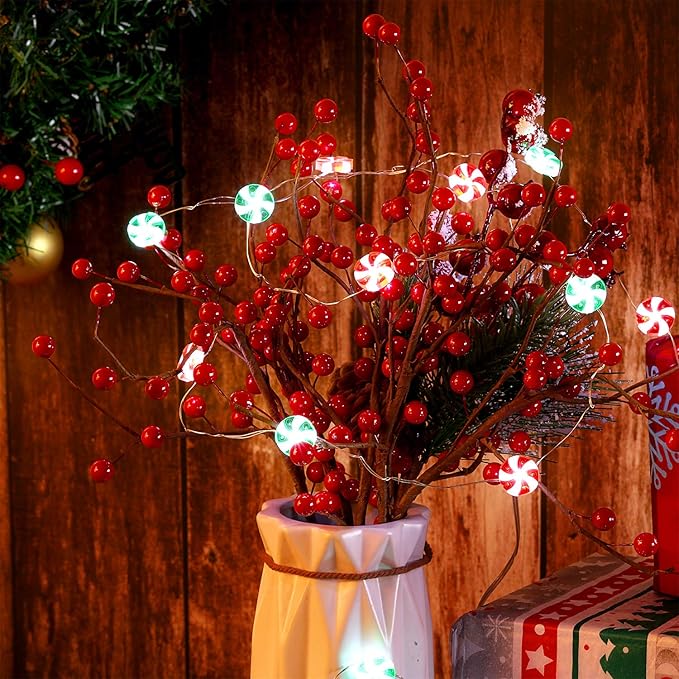 Mudder Candy String Lights Decorarion 10ft with 30 LED 8 Modes Battery Powered Gifts Fairy Lights for Party Classroom Festival Wedding Birthday Bedroom Home Outdoor Indoor(Red and Green)