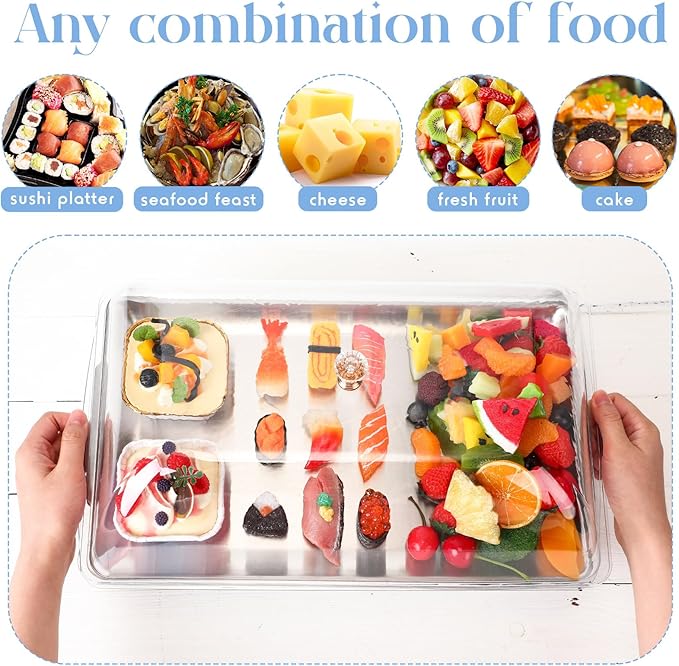 Baderke 2 Sets 16" x 9" Chilled Serving Tray for Parties with Compartments and Lid Charcuterie Serving Board Ice Rectangle Chilled Party Platter for Seafood Vegetable Fruit Shrimp Cocktail (Silver)