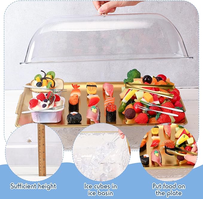 Baderke 2 Sets 16" x 9" Chilled Serving Tray for Parties with Compartments and Lid Charcuterie Serving Board Ice Rectangle Chilled Party Platter for Seafood Vegetable Fruit Shrimp Cocktail (Gold)