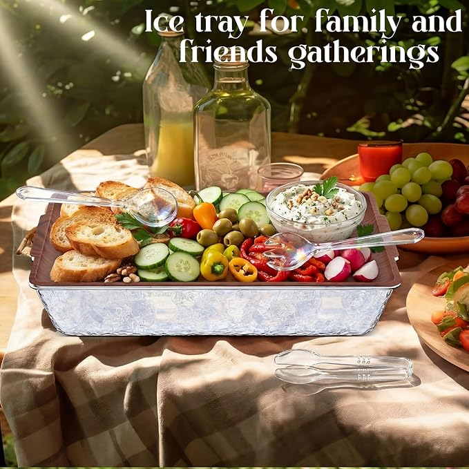 Baderke 1 Set 16" x 9" Chilled Serving Tray for Parties with Compartments Ice Chilled Party Crudite Platter Charcuterie Serving Board Cold Dish Dip Tableware for Seafood Vegetable (Dark Wood)