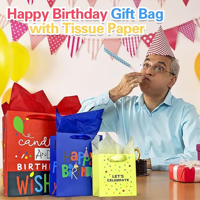 MUMULULU 10 Pack Birthday Gift Bag with Ribbon Handle and Tissue Paper Assorted Sizes and Designs 3 Size Birthday Gift Bag for Gift Wrapping Presents