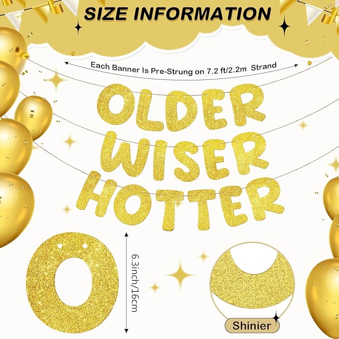 Fulmoon Set of 3 Pre Strung Older Wiser Hotter Glitter Banner Funny Birthday Banner for Women 30th 40th 50th 60th 70th 80th Birthday Party Decorations Sign Gift(Gold)