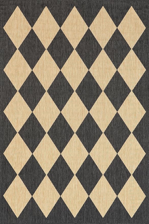 Nuloom Outdoor Performance Collection Sabina Dark Grey/Ivory, 5' x 8', Soft, High Traffic, Stain Resistant, Easy Clean, Durable Area Rug for Indoor/Outdoor Patio, Deck, Porch, Garden, Courtyard